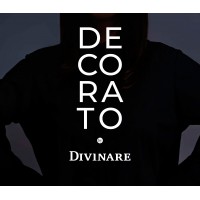 Новинка! Трековая система на ремнях 24V DECORATO от бренда Divinare