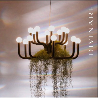 Новинка! Серия светильников FLoriana от бренда Divinare