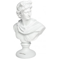 Статуэтка 55RD3994