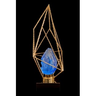 Интерьерная настольная лампа La Citta FL1101-1T2