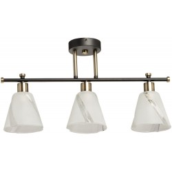 Потолочная люстра Тетро 118010403