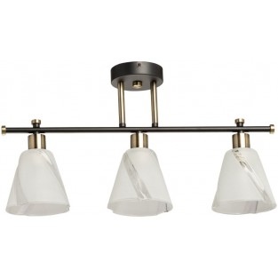 Потолочная люстра Тетро 118010403