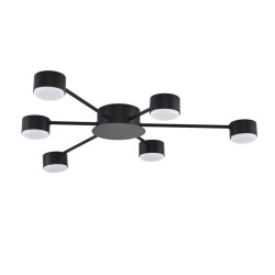 Потолочная люстра Torina 8344/6C