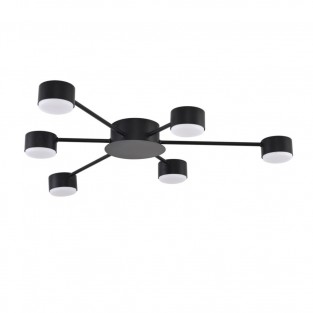 Потолочная люстра Torina 8344/6C