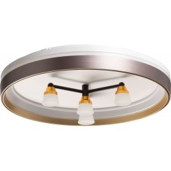 Потолочный светильник Норден 660014701