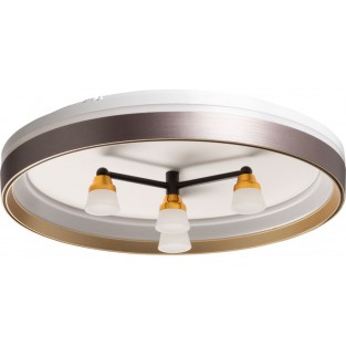 Потолочный светильник Норден 660014701