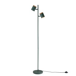 Торшер Asheswood V11290-2F