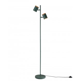 Торшер Asheswood V11290-2F