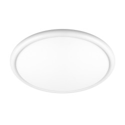 Потолочный светильник Sweety 10454/500 White