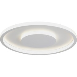 Потолочный светильник V3891-0/2PL