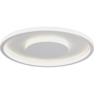 Потолочный светильник V3891-0/2PL