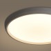 Потолочный светильник Obelle FR6211CL-L24W Freya Потолочный светильник Obelle FR6211CL-L24W Freya