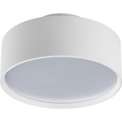 Точечный светильник Acuto 215946