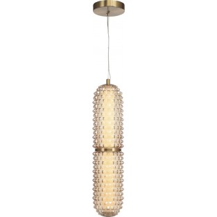 Подвесной светильник Saguaro SL6144.303.01