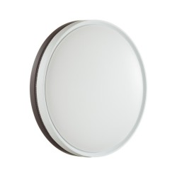 Настенно-потолочный светильник Nohava Brown 7668/ELN