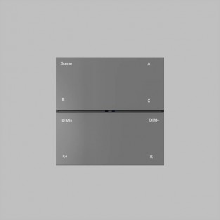 Настенная панель управления CONTROL BT | КОНТРОЛ BT DK7201-DG