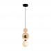 Подвесной светильник Irisa FR5593PL-01B1