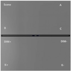Настенная панель управления CONTROL BT | КОНТРОЛ BT DK7201-DG