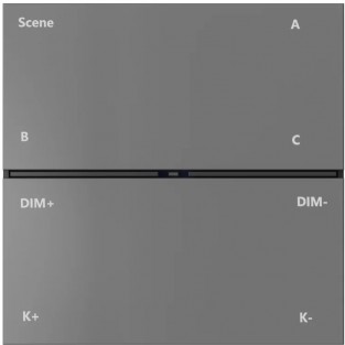 Настенная панель управления CONTROL BT | КОНТРОЛ BT DK7201-DG