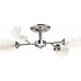 Потолочная люстра Вита 220014504