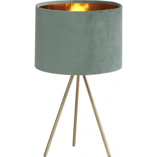 Интерьерная настольная лампа Fuego SL6242.704.01