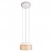 Подвесной светильник Totem 10466P Amber matte
