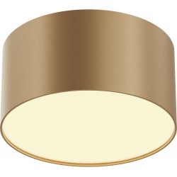 Потолочный светильник Zon C032CL-12W2.7K-RD-MG