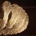 Подвесная люстра Antigua 11319 Cloyd Подвесная люстра Antigua 11319 Cloyd