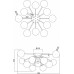 Потолочная люстра Alexis FR5120CL-12G