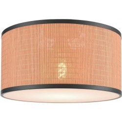 Потолочный светильник 568-707-01