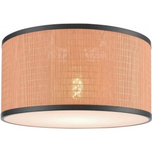 Потолочный светильник 568-707-01