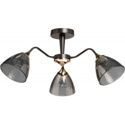 Потолочная люстра Альфа 115010303