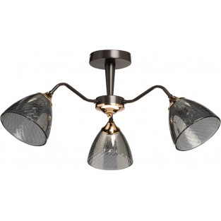 Потолочная люстра Альфа 115010303