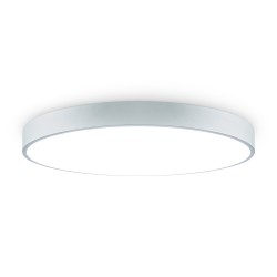 Потолочный светильник Sprida FR6129CL-L80GR Freya