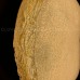 Потолочный светильник Nectar 11323 Cloyd Потолочный светильник Nectar 11323 Cloyd