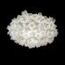 Потолочный светильник Clizia 10595/780C White Loft It Потолочный светильник Clizia 10595/780C White Loft It