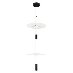 Подвесной светильник Flamingo 10598A Loft It