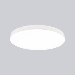 Потолочный светильник Turin 9022