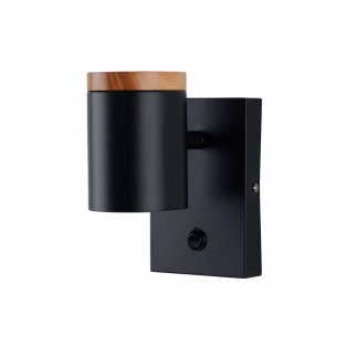 Спот Asheswood V11291-1W