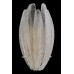 Настенный светильник Florencia FL1194-2W Fluorite Настенный светильник Florencia FL1194-2W Fluorite