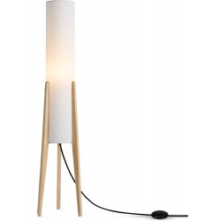 Торшер Bliss FR5543FL-01T