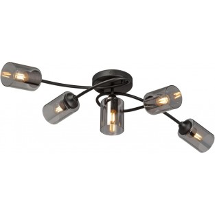 Потолочная люстра V2048-1/5PL