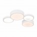 Потолочный светильник Molecule FR6080CL-L92W Freya Потолочный светильник Molecule FR6080CL-L92W Freya