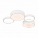 Потолочный светильник Molecule FR6080CL-L92W Freya Потолочный светильник Molecule FR6080CL-L92W Freya