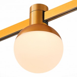 Трековый светильник Farm ST815.246.05