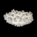 Потолочный светильник Clizia 10595/780C White Loft It Потолочный светильник Clizia 10595/780C White Loft It