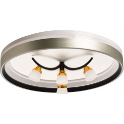 Потолочный светильник Норден 660014901