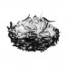 Потолочный светильник Clizia 10593/780C Black Loft It Потолочный светильник Clizia 10593/780C Black Loft It