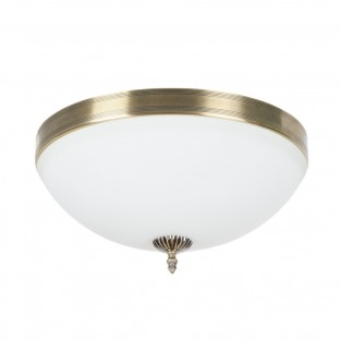 Потолочный светильник Biene MR1528-4C