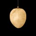 Подвесной светильник Fionora 10531E Loft It
